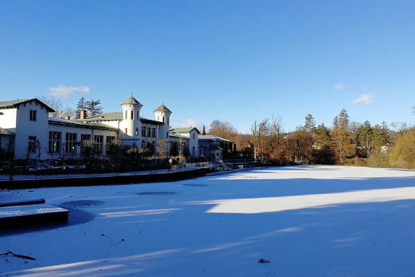 ice skating Hilmteich