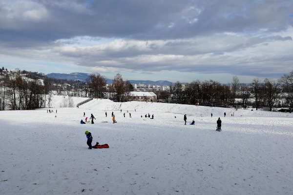 sled meadow Graz