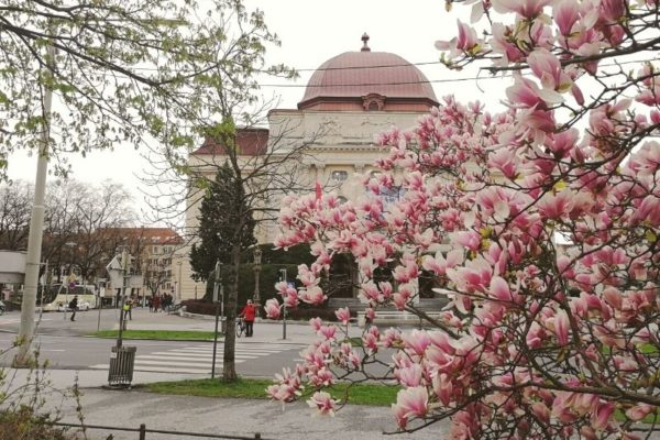 opera house