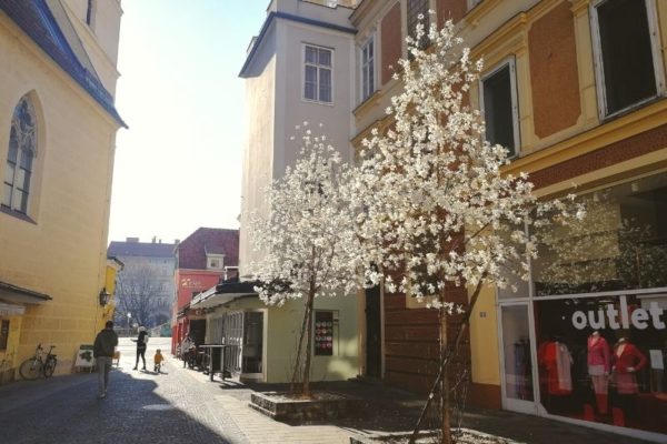 Spring in Graz