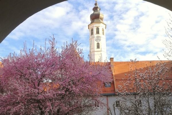 Spring in Andrä Quarter