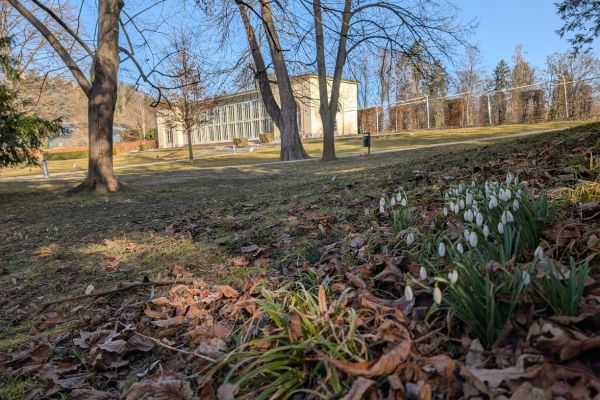 gardens of Graz