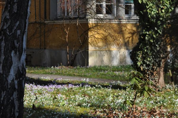 spring in Graz