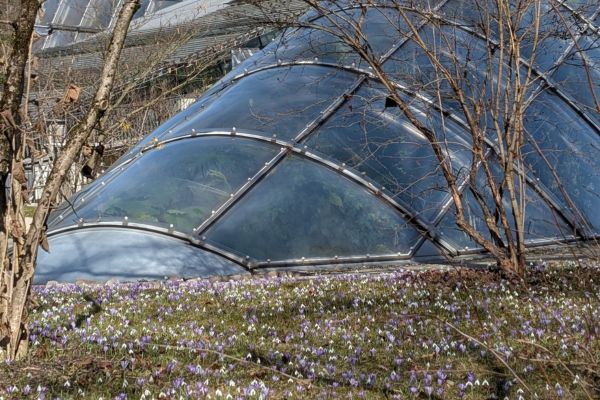 Botanical Garden Graz