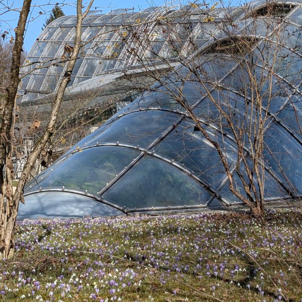 Frühling in Graz