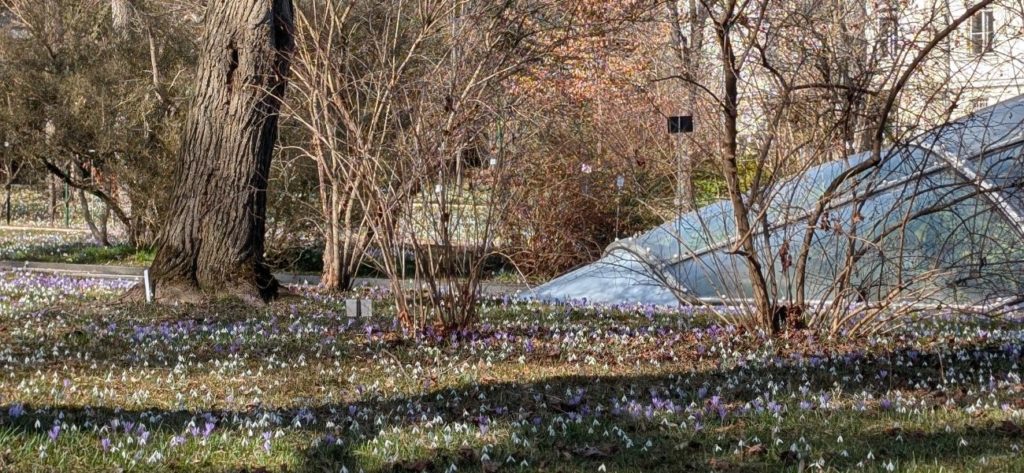 Botanischer Garten Graz