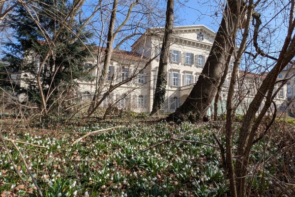 Universität für Musik und darstellende Kunst